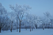 周公解梦：大雪