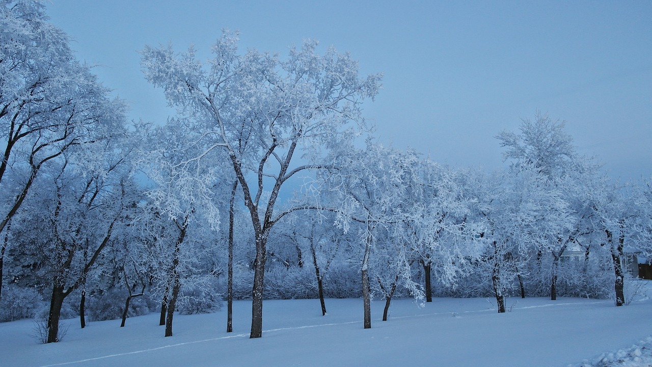 梦见下雪周公解梦：预示着什么？